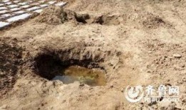 蒙阴县最新爆料新闻事件,最新爆料揭示惊人真相